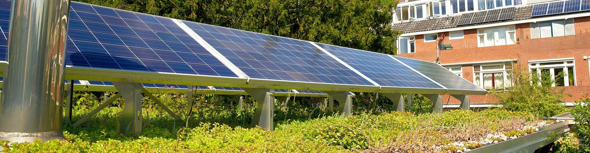 Gruendach mit Photovoltaikanlage