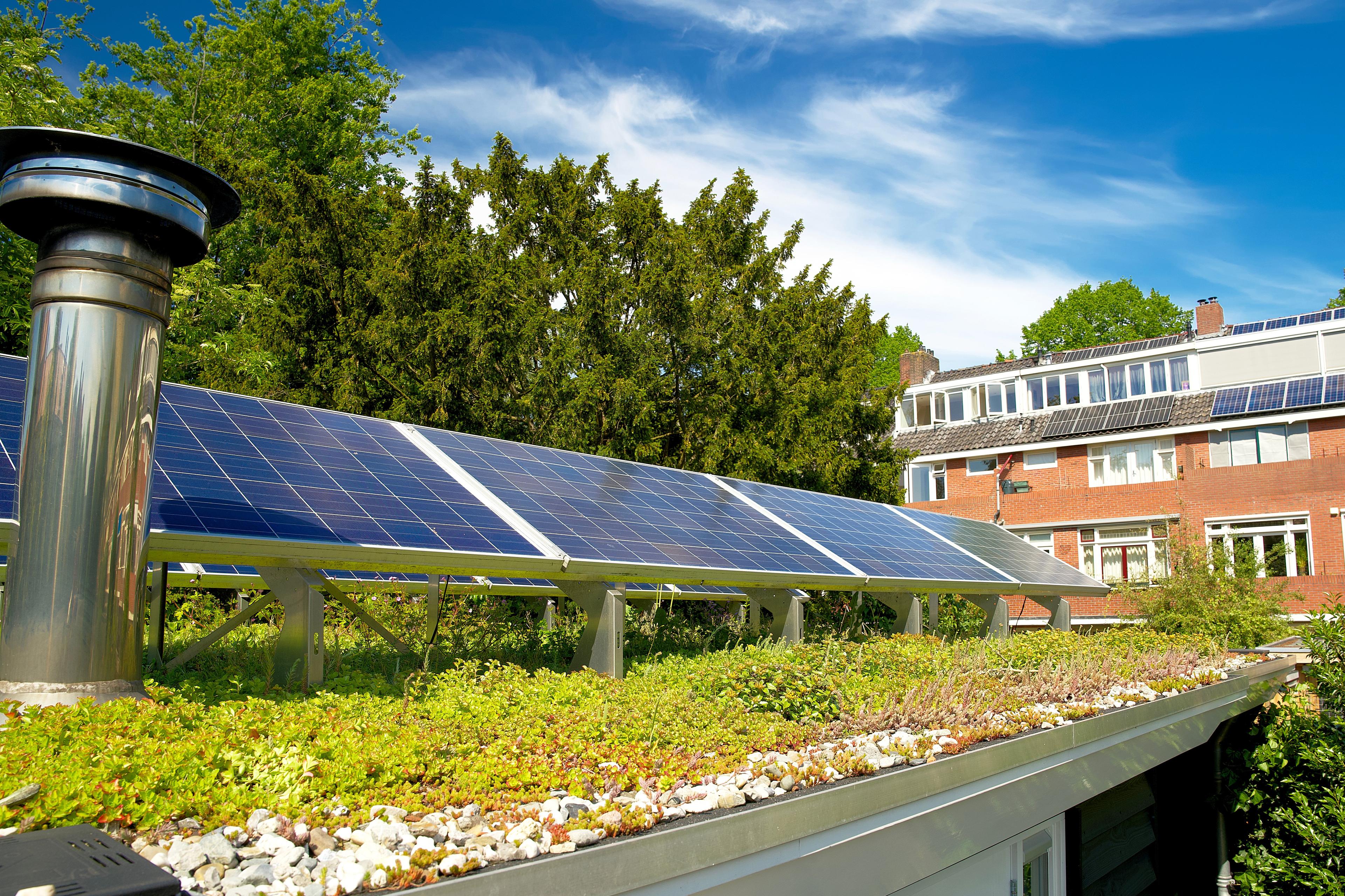 Gruendach mit Photovoltaikanlage