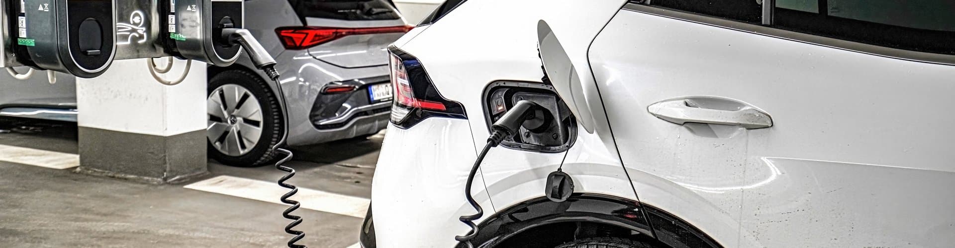 Romberi/Shutterstock.com