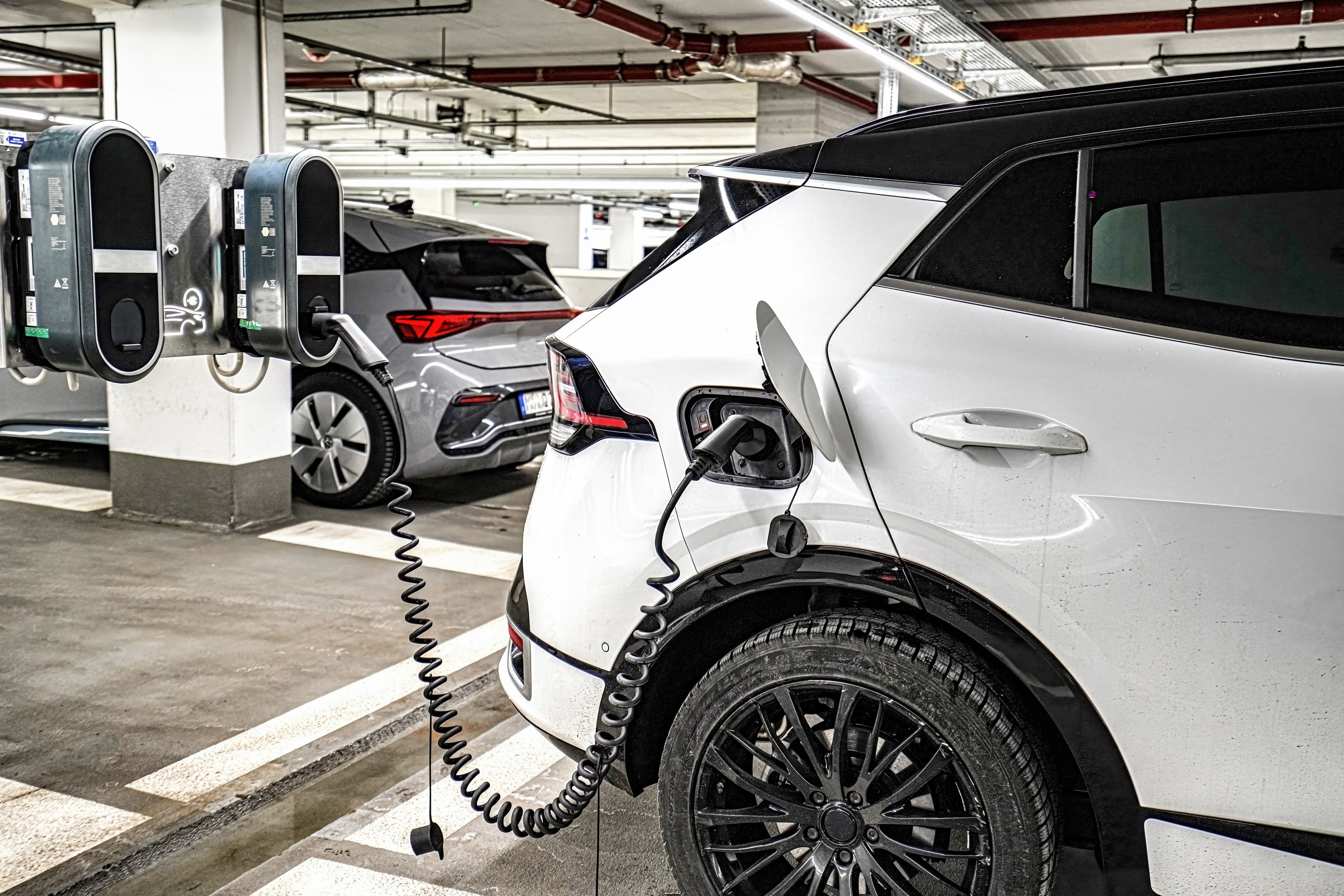 Romberi/Shutterstock.com