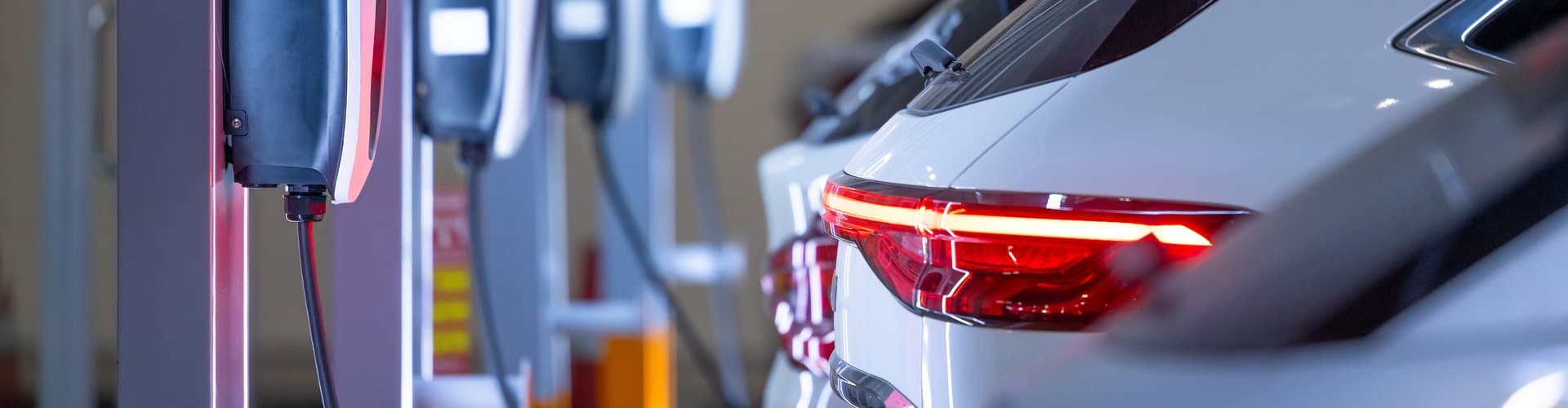 Urheber: Mayy Contributor/Shutterstock