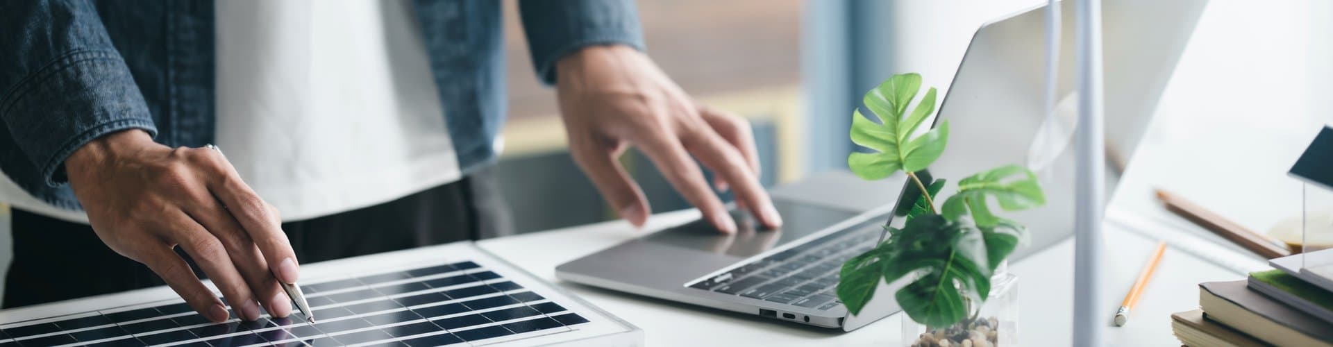 mojo cp/Shutterstock.com